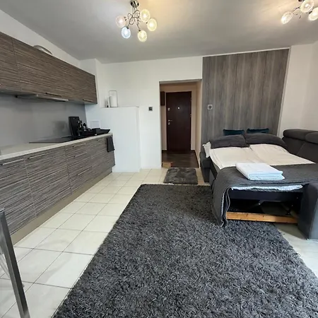 Limonka Z Tarasem Na Dachu Appartement