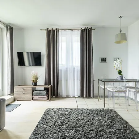 Limonka Z Tarasem Na Dachu Appartement